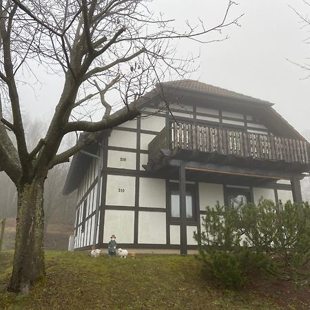Ferienwohnung Lix Direkt Am Waldrand Frankenau Eksteriør bilde